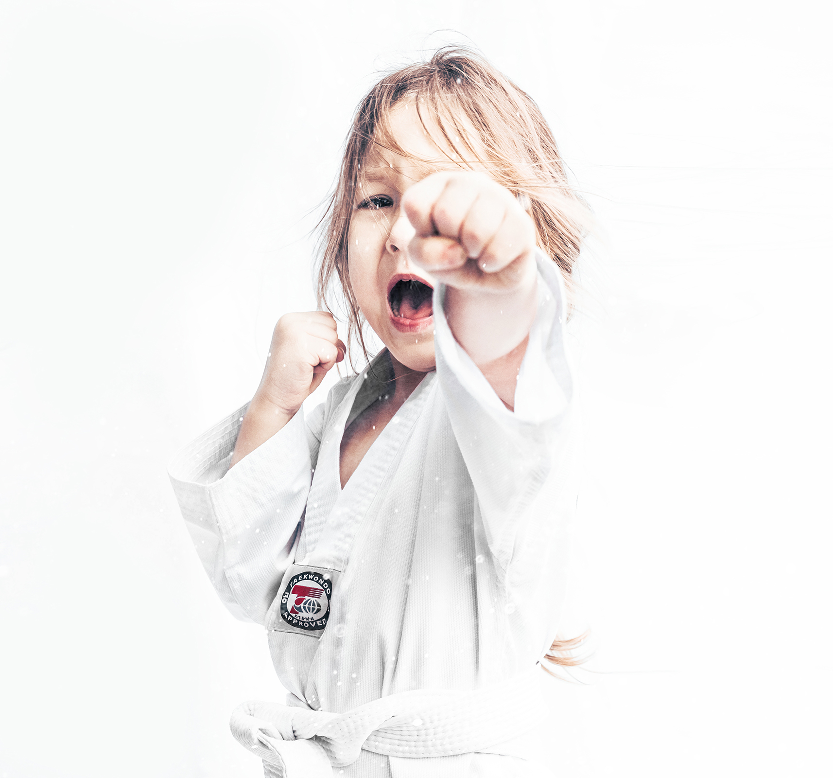 Taekwondo portrait